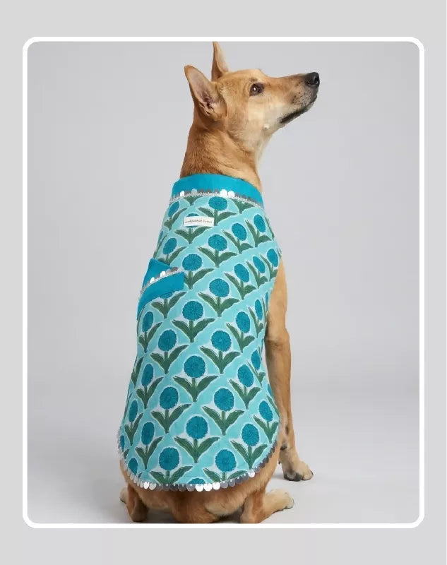 Blue Sherwani for Dogs & Cats | Ethnic Kurta Sherwani for Dog, Cat and Puppy | Ethnic Wear | Mehendi - Dress - Party - Diwali - Wedding Wear