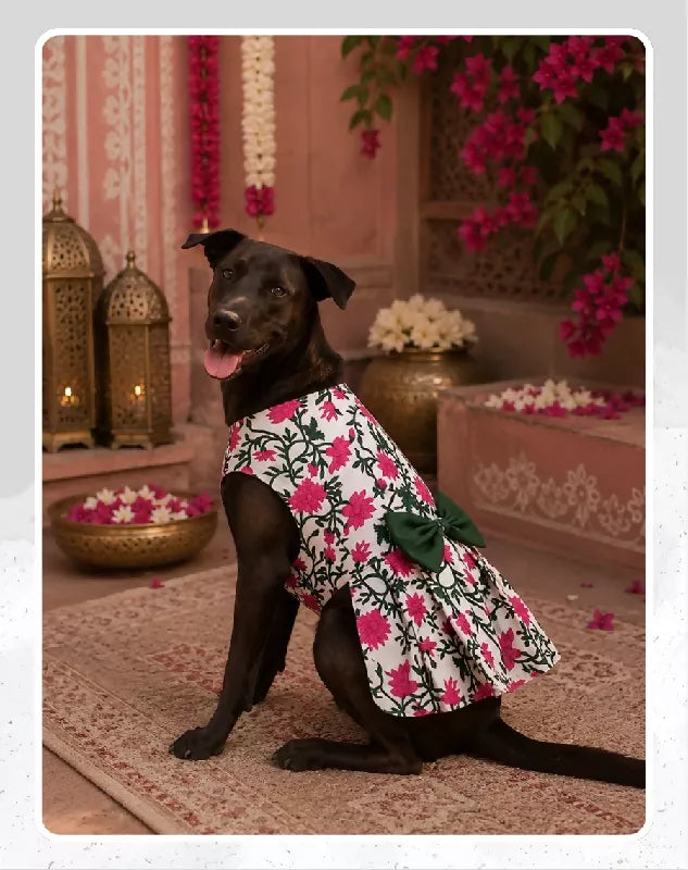 Pink Floral Cotton Dress For Dog & Cat | Dog Lehenga | Pet Lehenga Choli | Indian Dress for Dogs, Cats & Pets | Traditional Wedding & Festival Outfit