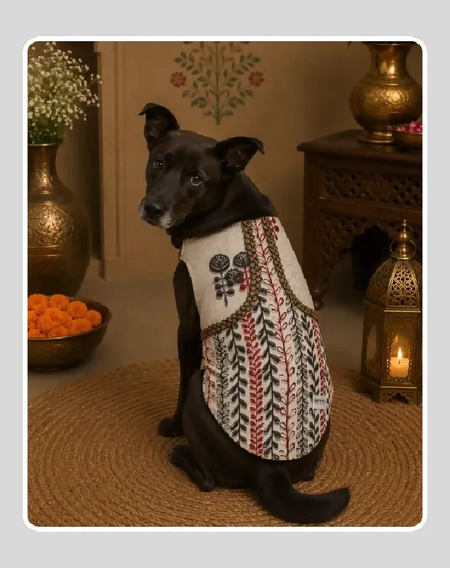 Indian Cotton Ethnic Kurta Sherwani for Dog, Cat and Puppy | Ethnic Wear | Mehendi - Dress - Party - Diwali - Wedding Wear
