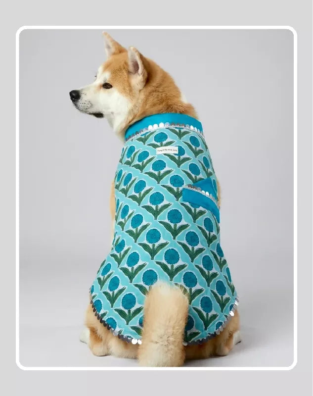 Blue Sherwani for Dogs & Cats | Ethnic Kurta Sherwani for Dog, Cat and Puppy | Ethnic Wear | Mehendi - Dress - Party - Diwali - Wedding Wear