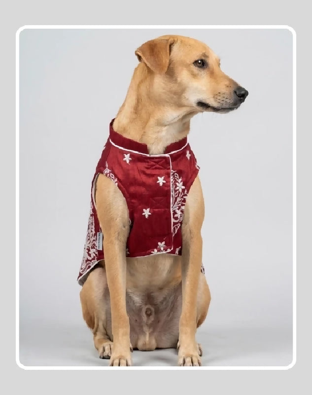 Maroon Sherwani for Dogs & Cats | Dog Kurta Set | Indian Wedding Dress for Dogs, Puppies & Cats | Ethnic Pet Outfit for Festivals, Weddings, Diwali, Navratri, Engagement & Traditional Wear