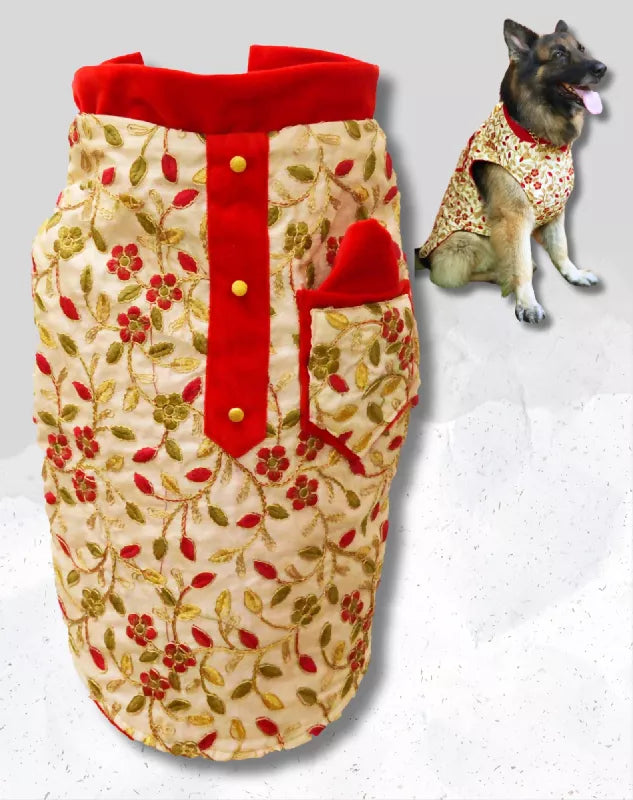 Gold Sherwani For Dogs & Cats - Festive wear with Gold & Red embroidery | Ethnic Kurta Sherwani for Dog, Cat and Puppy | Ethnic Wear | Mehendi - Dress - Party - Diwali - Wedding Wear