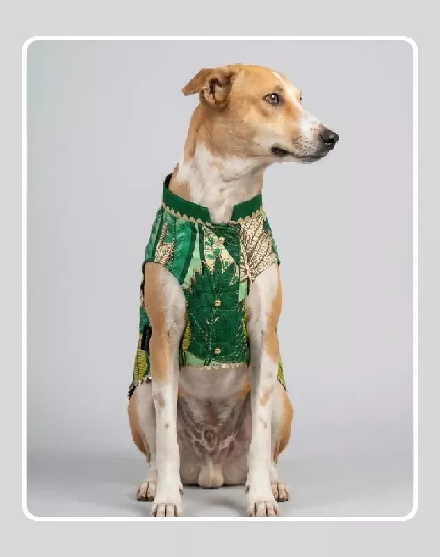 Green Sherwani for Dogs & Cats | Dog Kurta Set | Indian Wedding Dress for Dogs, Puppies & Cats | Ethnic Pet Outfit for Festivals, Weddings, Diwali, Navratri, Engagement & Traditional Wear