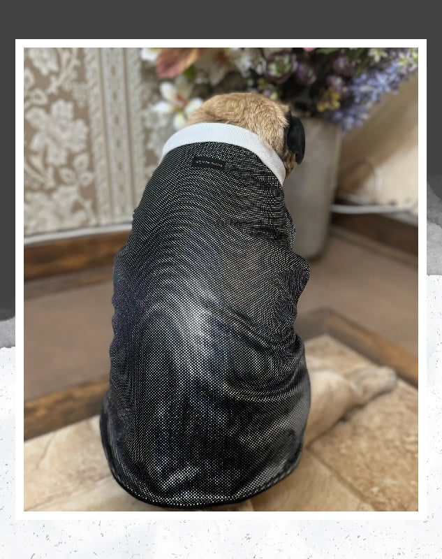 Black Shimmer Tuxedo | Dog Tuxedo | Pet Tuxedo | Formal Suit for Dogs, Cats & Pets | Wedding, Party & Special Occasion Outfit