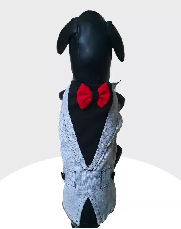 Grey Linen Tuxedo with Red Bow | Dog Tuxedo | Pet Tuxedo | Formal Suit for Dogs, Cats & Pets | Wedding, Party & Special Occasion Outfit