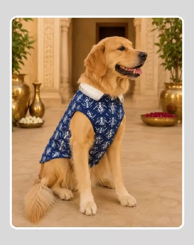 Blue Cotton Ethnic Kurta Sherwani for Dog, Cat and Puppy | Ethnic Wear | Mehendi - Dress - Party - Diwali - Wedding Wear