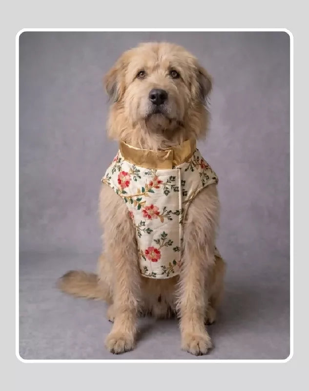 Beige Sherwani With Multicolour Floral Work | Ethnic Jacket | Dress - Party - Winter - Wedding Wear for Dog, Cat and Puppy