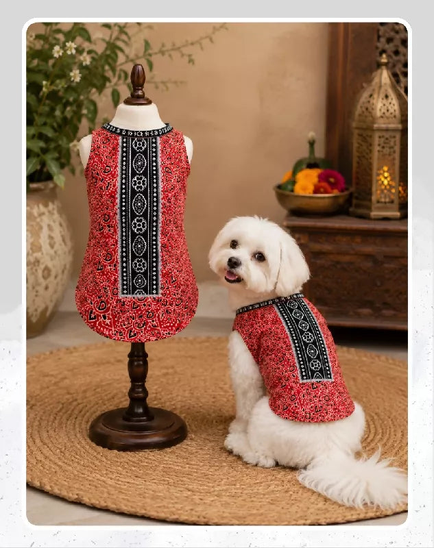 Red Cotton Ethnic Kurta Sherwani for Dog, Cat and Puppy | Ethnic Wear | Mehendi - Dress - Party - Diwali - Wedding Wear