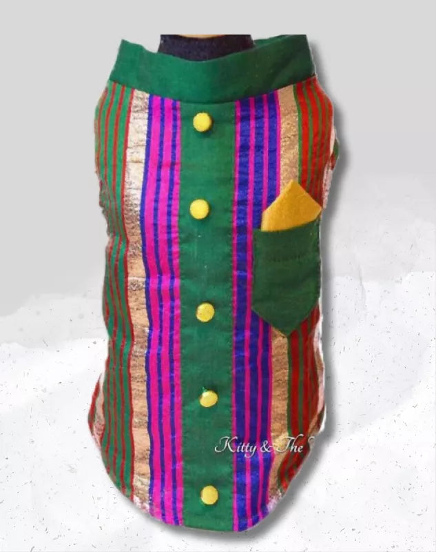 Multicolour Stripe Sherwani With Green Centre & Gold Buttons | Ethnic Kurta Sherwani for Dog, Cat and Puppy | Ethnic Wear | Mehendi - Dress - Party - Diwali - Wedding Wear