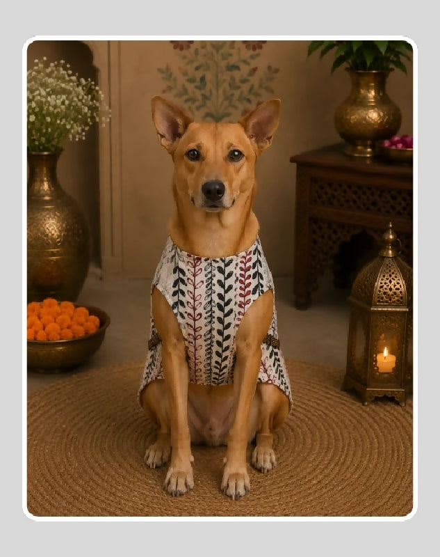Indian Cotton Ethnic Kurta Sherwani for Dog, Cat and Puppy | Ethnic Wear | Mehendi - Dress - Party - Diwali - Wedding Wear