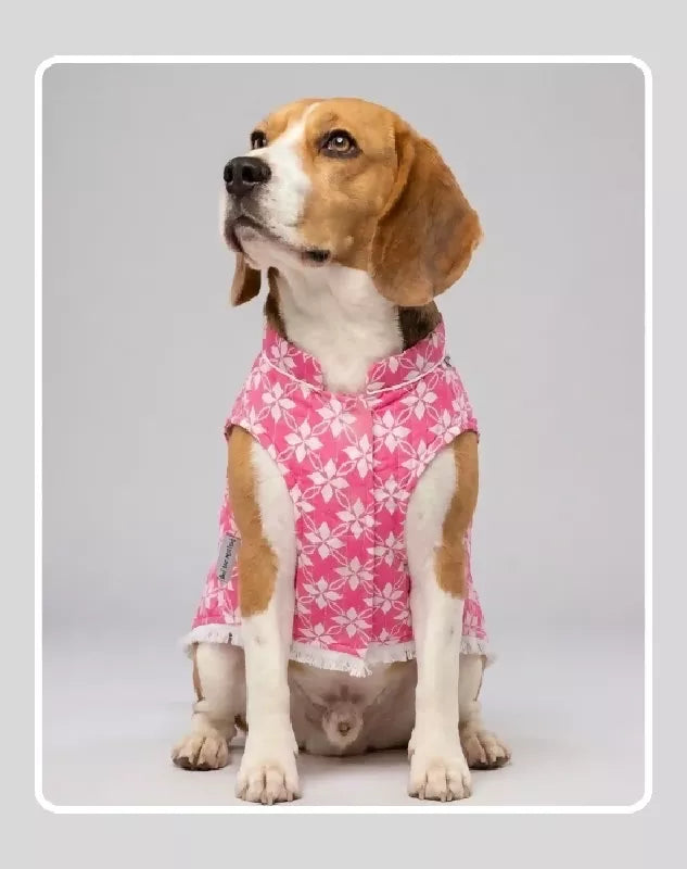 Pink Sherwani for Dogs & Cats | Dog Kurta Set | Indian Wedding Dress for Dogs, Puppies & Cats | Ethnic Pet Outfit for Festivals, Weddings, Diwali, Navratri, Engagement & Traditional Wear