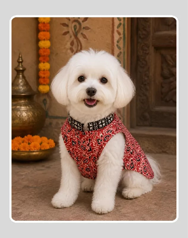 Red Cotton Ethnic Kurta Sherwani for Dog, Cat and Puppy | Ethnic Wear | Mehendi - Dress - Party - Diwali - Wedding Wear