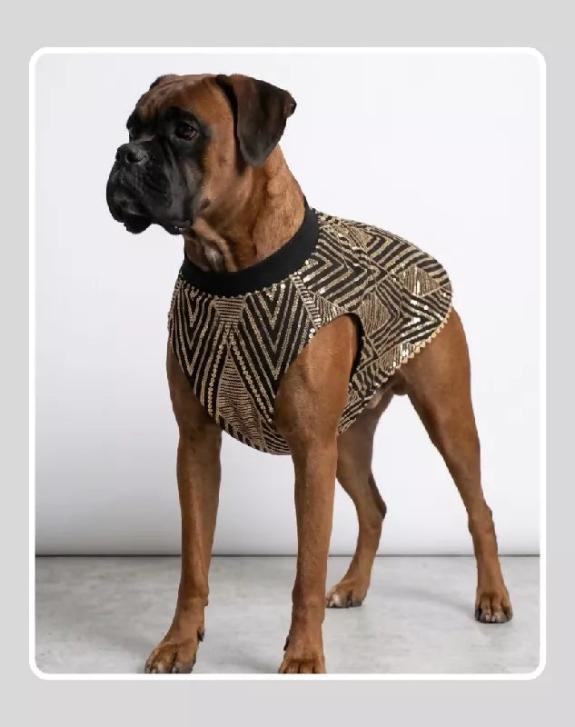 Classic Indian Black & Gold Sherwani for Dogs & Cats | Ethnic Kurta Sherwani for Dog, Cat and Puppy | Ethnic Wear | Mehendi - Dress - Party - Diwali - Wedding Wear