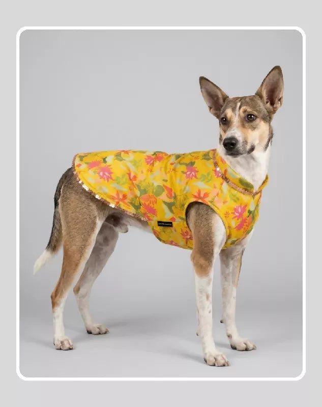 Yellow Floral Sherwani for Dogs & Cats | Ethnic Kurta Sherwani for Dog, Cat and Puppy | Ethnic Wear | Mehendi - Dress - Party - Diwali - Wedding Wear